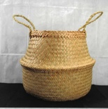 Tụng bàng Thảo Điền Phú Mỹ