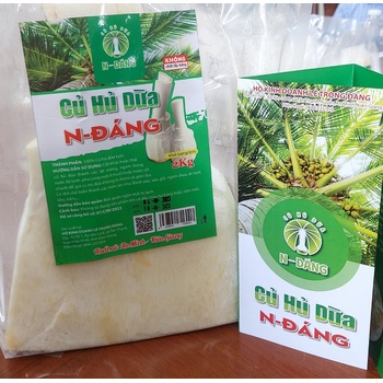 CỦ HỦ DỪA NGỌC ĐÁNG